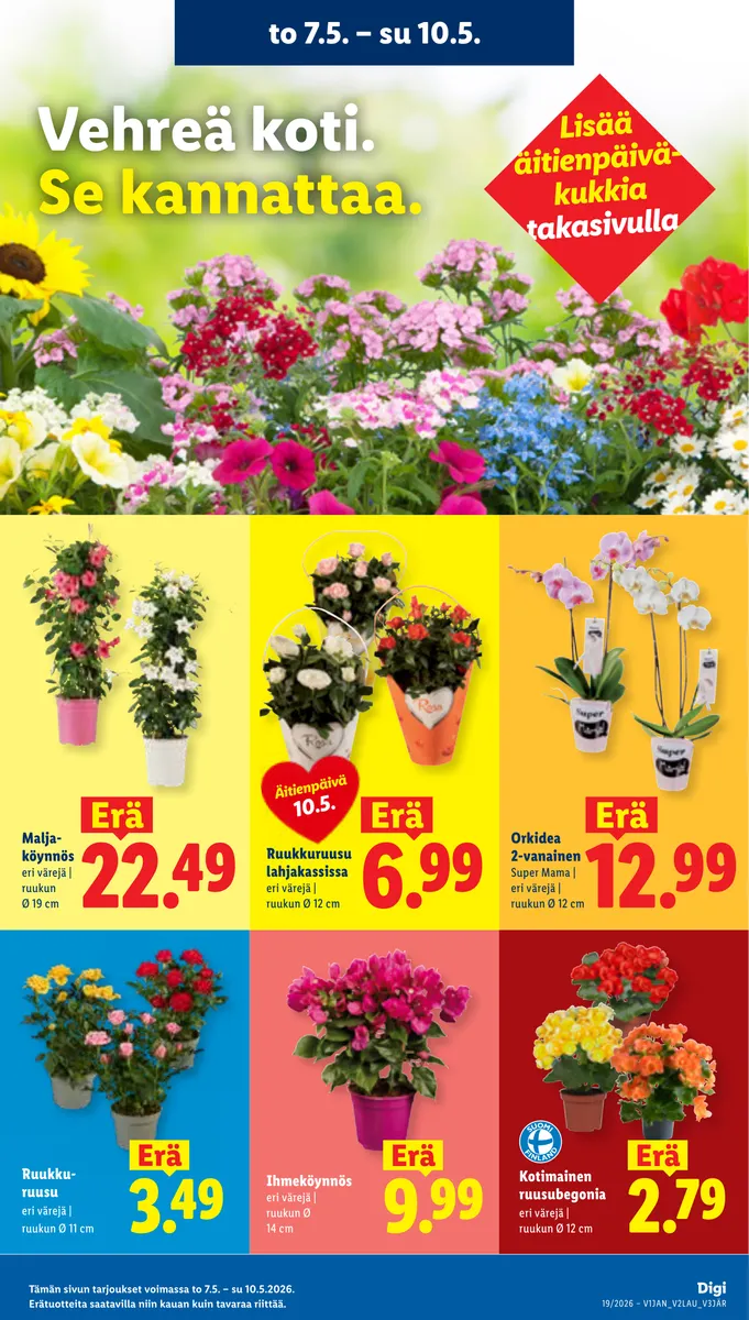 Lidl Alueesi Tarjoukset to 7.5. – ti 12.5. sivu 20